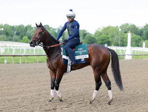 Iron Honor, the Preakness morning-line favorite, at Laurel Park 