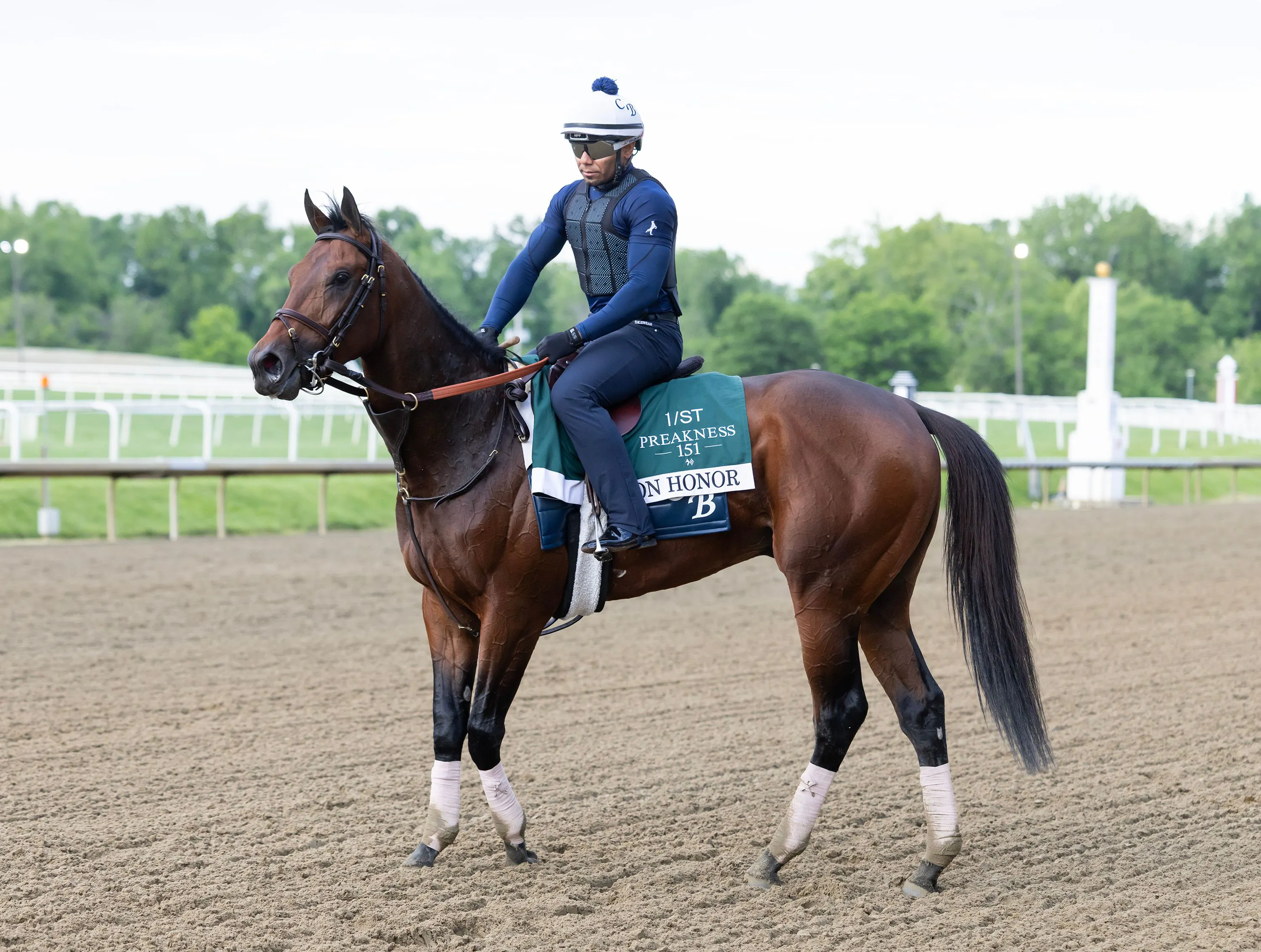 Iron Honor, the Preakness morning-line favorite, at Laurel Park 