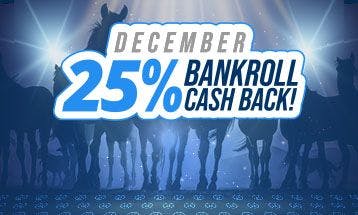 Tournaments 25% cash back december