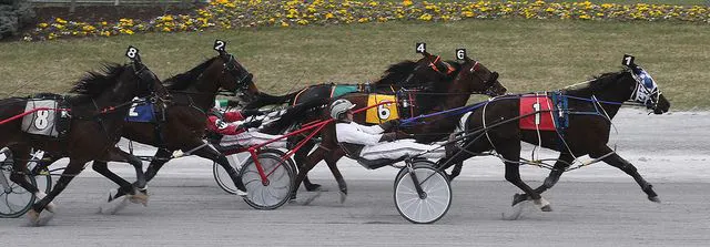 Memorial Day cards highlight weekend of harness action | TwinSpires