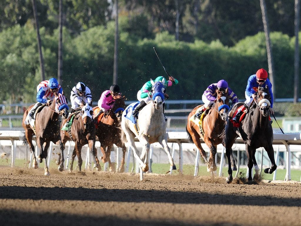 Santa Anita Opening Day Dec. 26 Picks TwinSpires