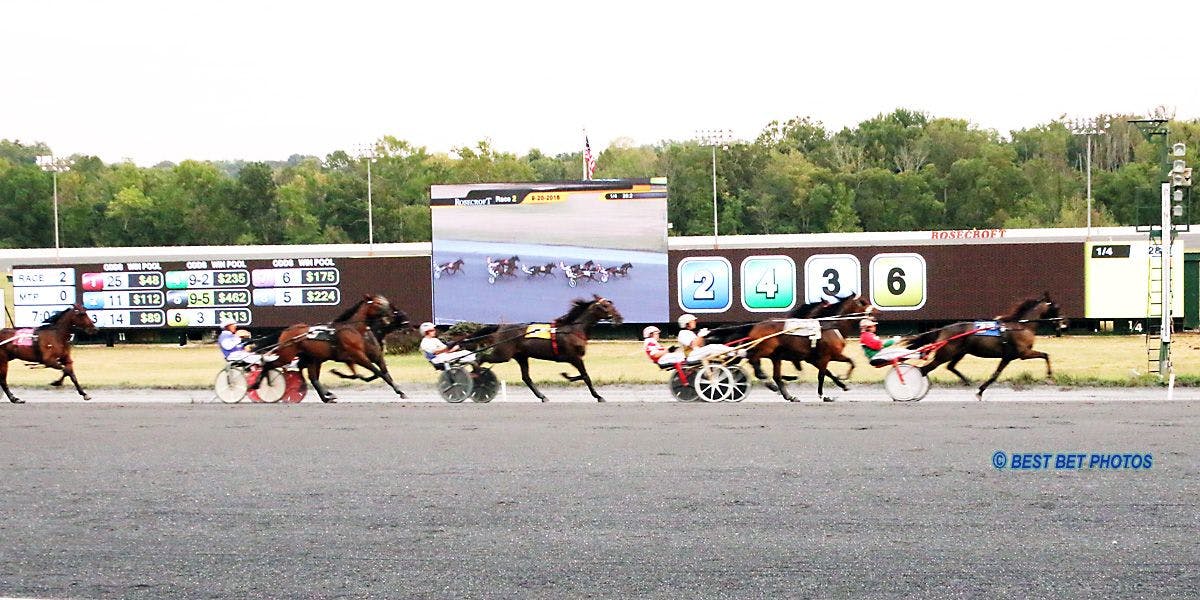 Rosecroft Hosts Fall Meet Finale on Thursday TwinSpires