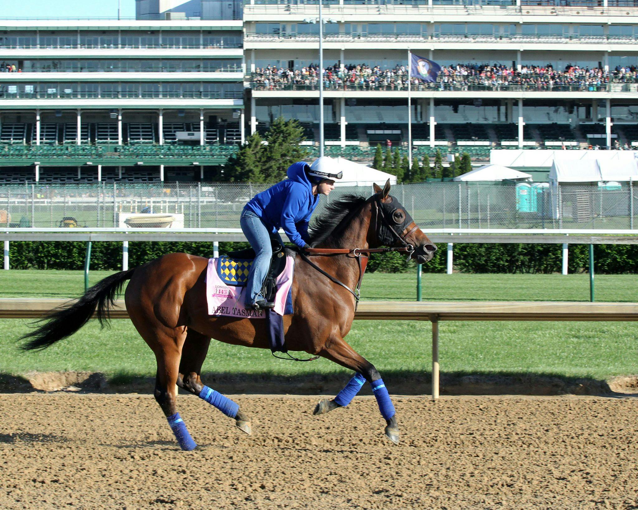 Cotillion Stakes Preview Abel Tasman Meets 'Salty' Oaks Opp TwinSpires