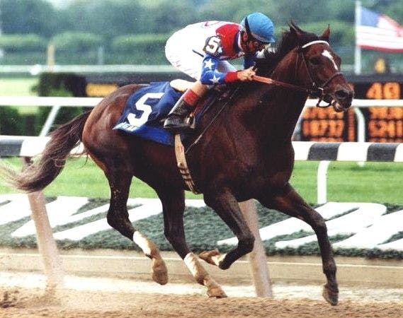 Cigar began his winning streak in a Friday allowance race at Aqueduct in 1994. (Photo by Bob Coglianese)