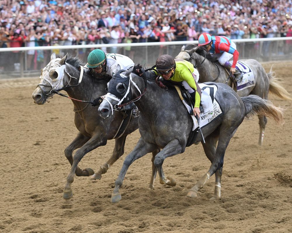 Harlan's Holiday Stakes Tops Saturday Racing Action at Gulfs | TwinSpires