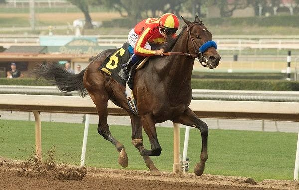 Malibu Stakes Could Produce Next Dirt Star TwinSpires