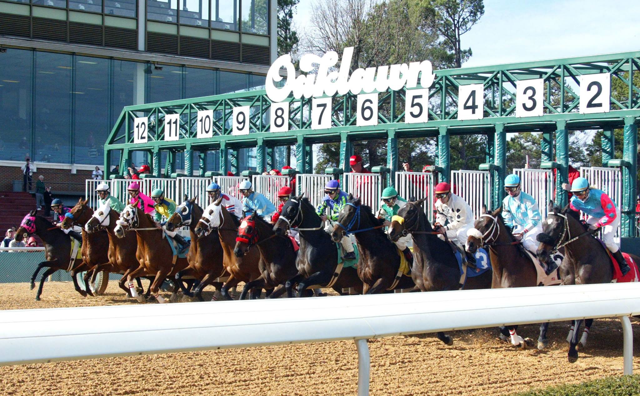 Racing at Oaklawn Park.