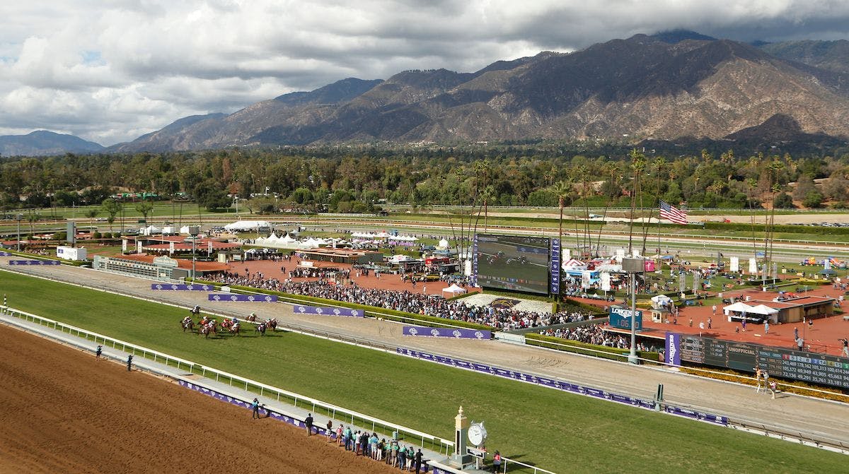 Exotics Plays for the 2024 Eddie D Stakes TwinSpires