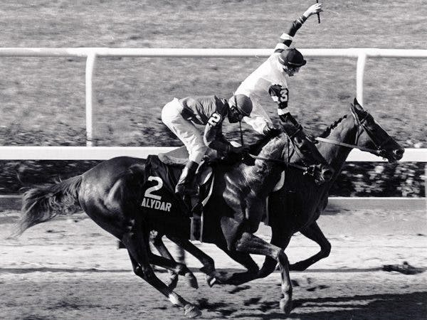triple・crown Weekend Watch: 1978 Triple Crown | TwinSpires