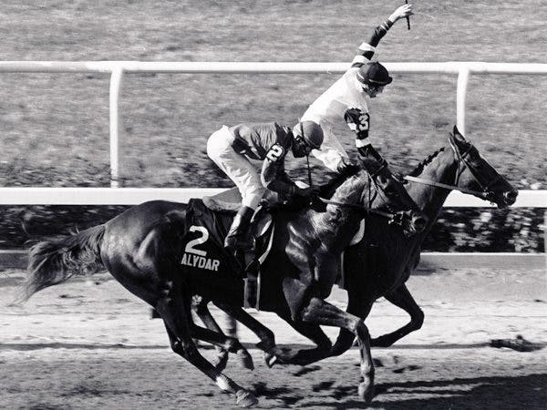 Affirmed 1978 Belmont Stakes (Bob Coglianese)