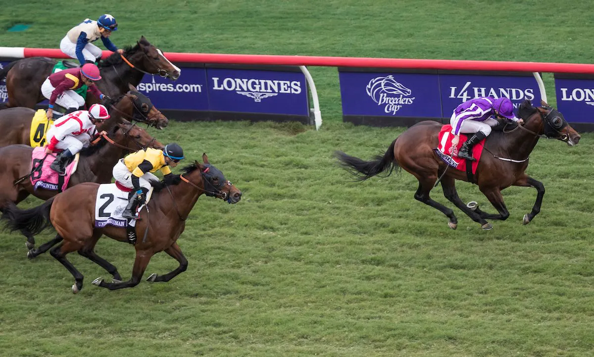 Competitive, Diverse Field Lines Up for UAE Derby | TwinSpires