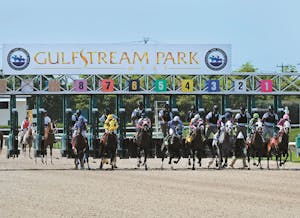 Racing at Gulfstream Park.