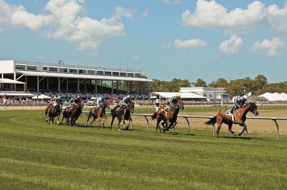 tampa-bay-downs-spot-plays-and-late-pick-3-twinspires