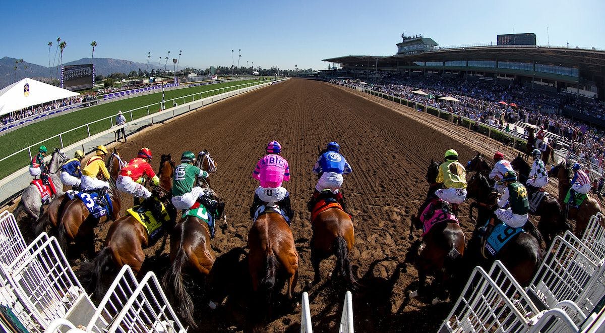 How to bet the 2024 Clocker's Corner Stakes