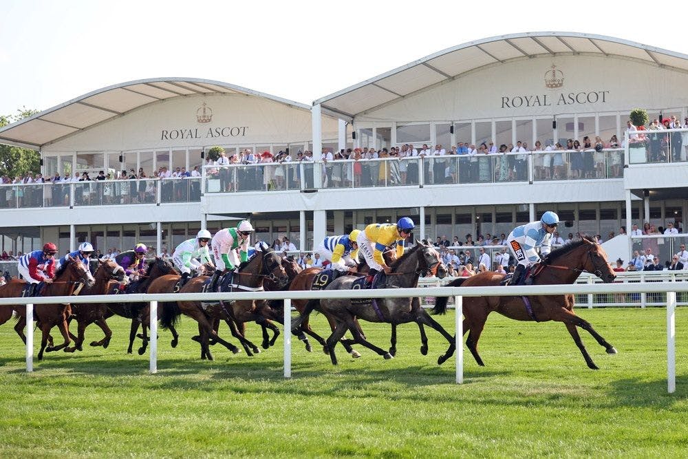 Racing at Ascot (Photo by Horsephotos.com/Frank Sorge)