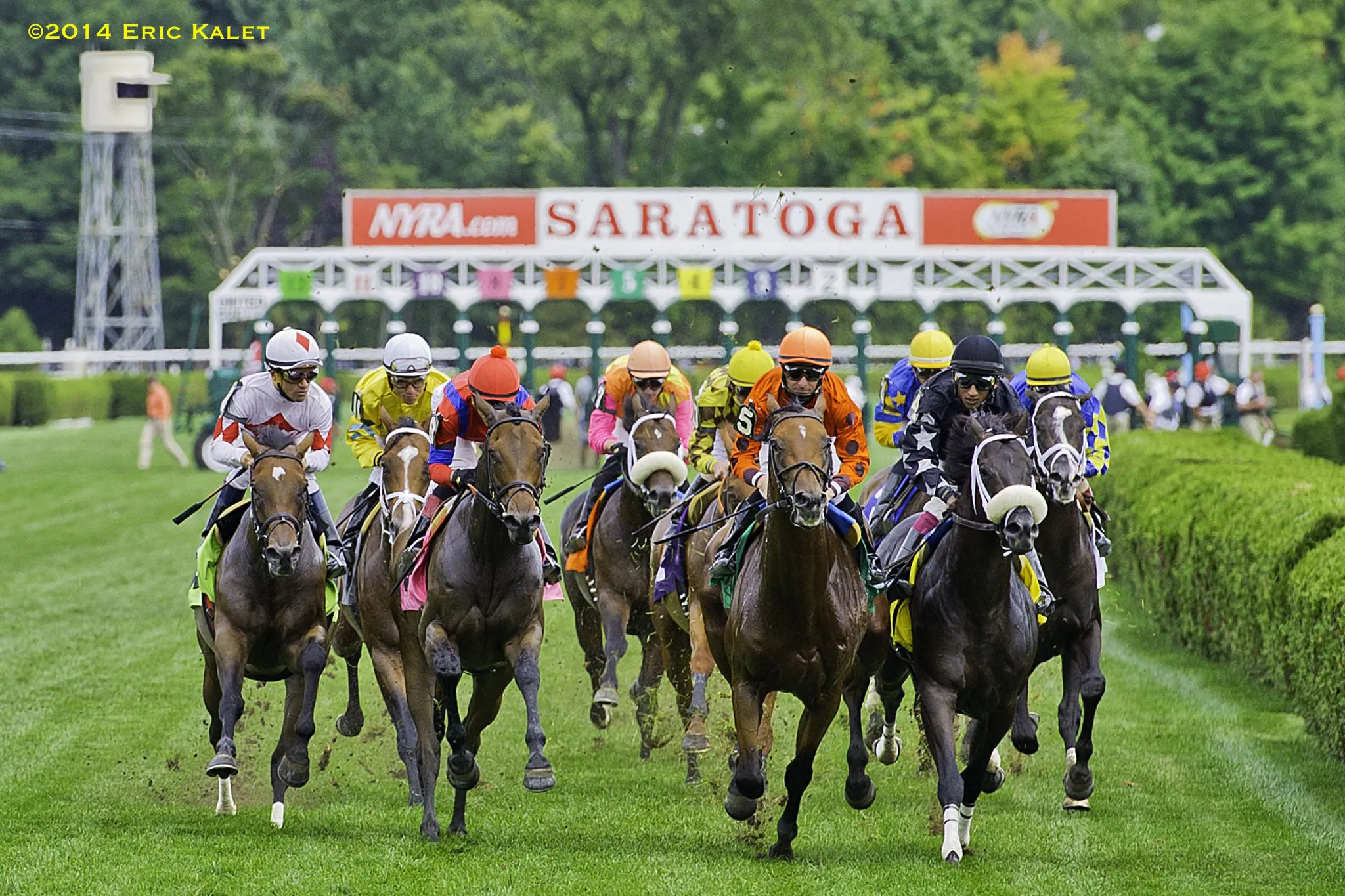 Scully: Price plays for July 24 | TwinSpires