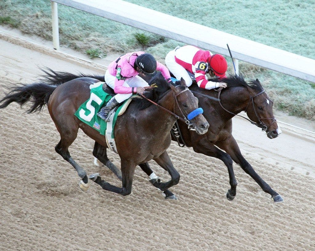 Rating the 2019 Kentucky Derby Prep Races TwinSpires