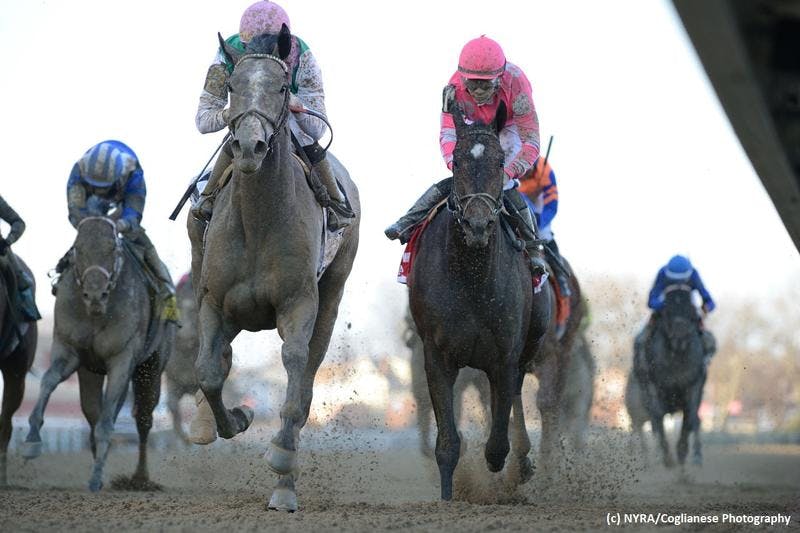 How to bet the 2019 Jim Dandy Stakes TwinSpires