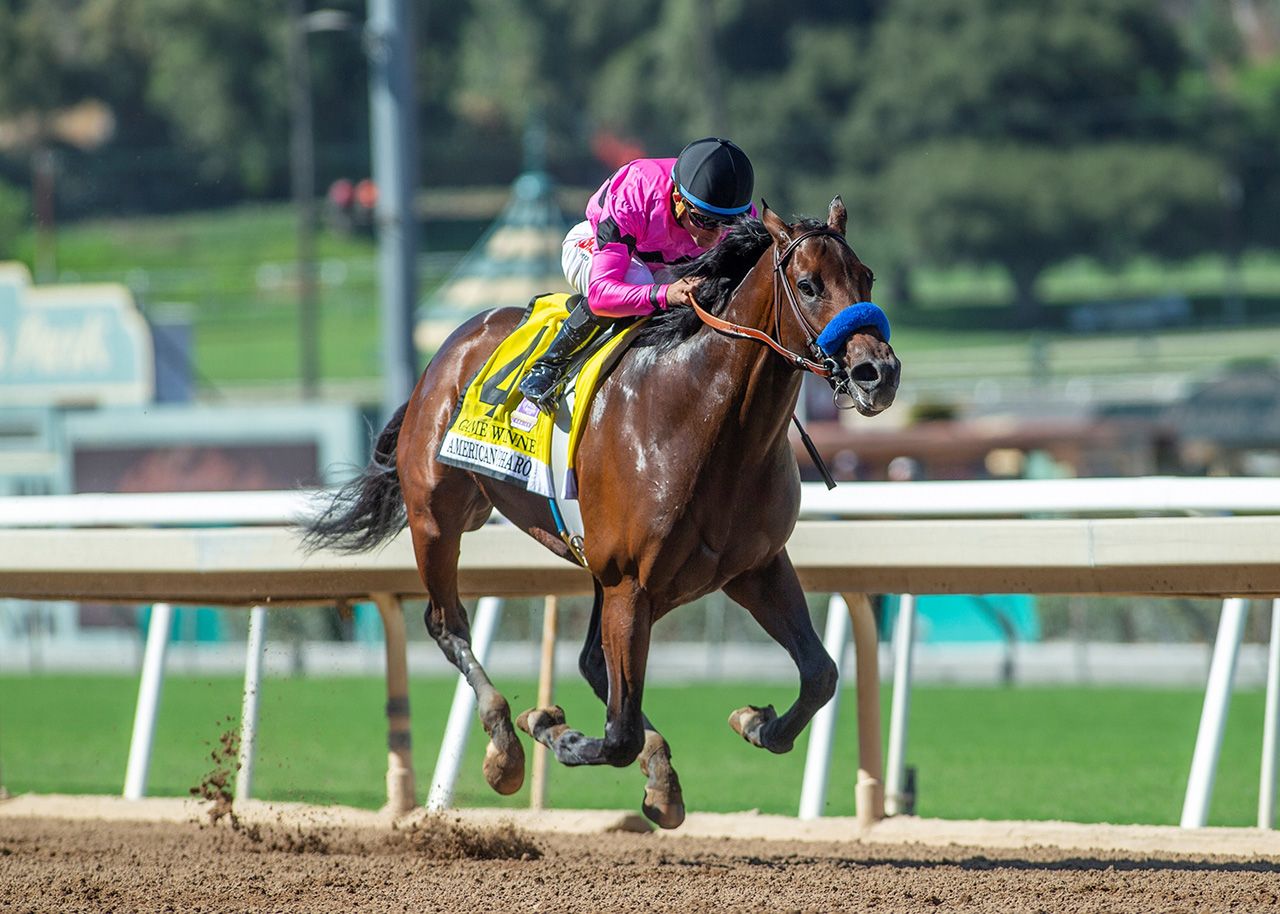 Kentucky Derby Make The Case: Roadster And Game Winner | TwinSpires