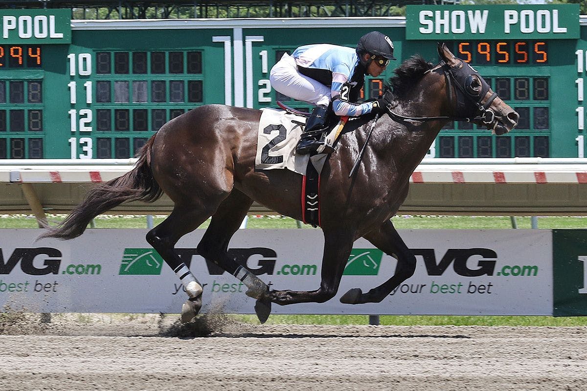 Shancelot's speed stands out in H. Allen Jerkens Stakes TwinSpires