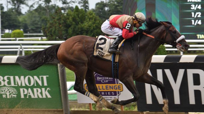 Thoroughbred, Harness, Standarbred, Quarter Horse Racing | TwinSpires