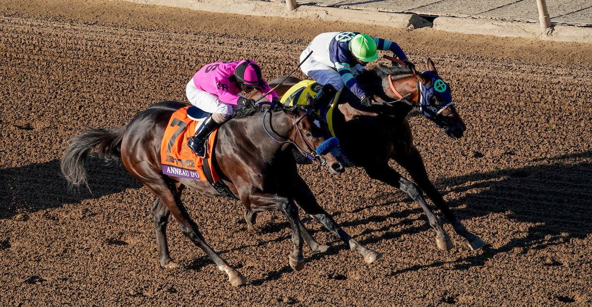 Rating the first round of 2020 Kentucky Derby prep races | TwinSpires