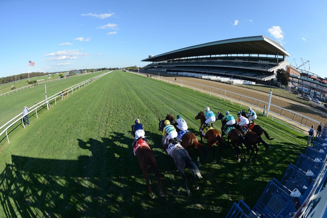 How to bet the 2021 Sands Point Stakes TwinSpires