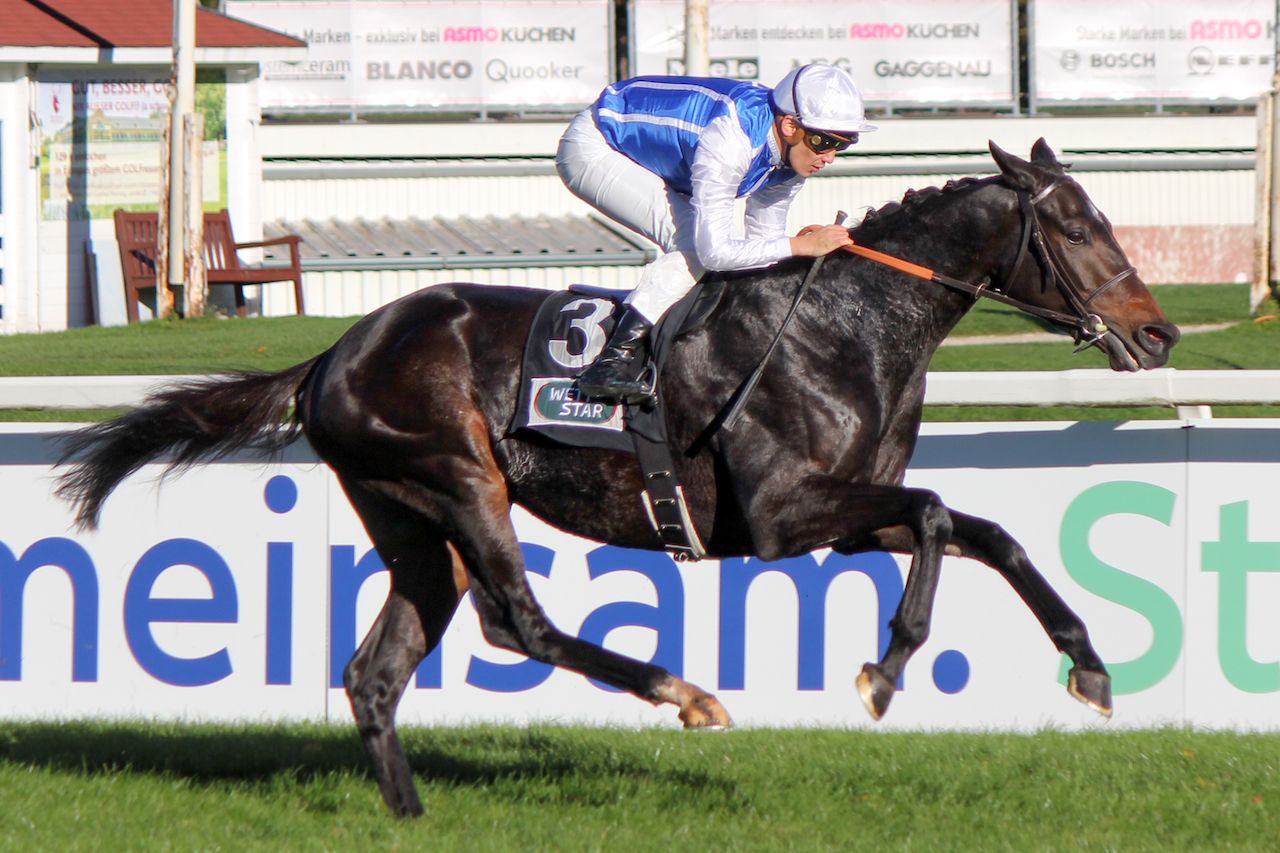 Junko (Photo courtesy of Race News and Hong Kong Jockey Club)