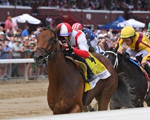 Ways and Means wins the Test (G1) at Saratoga (Photo by Coglianese Photography / Credit to Angelo Lieto)