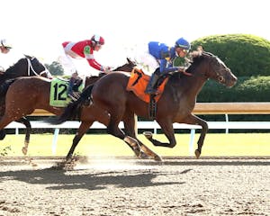 #7 David of Athens beats #12 Camp Hale at Keeneland.