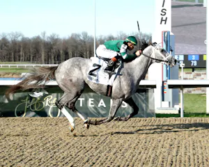 Fulleffort Jeff Ruby Steaks Finish