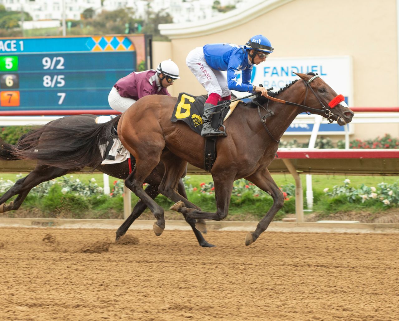 Meet The Contenders: 2024 Robert B. Lewis Stakes | TwinSpires