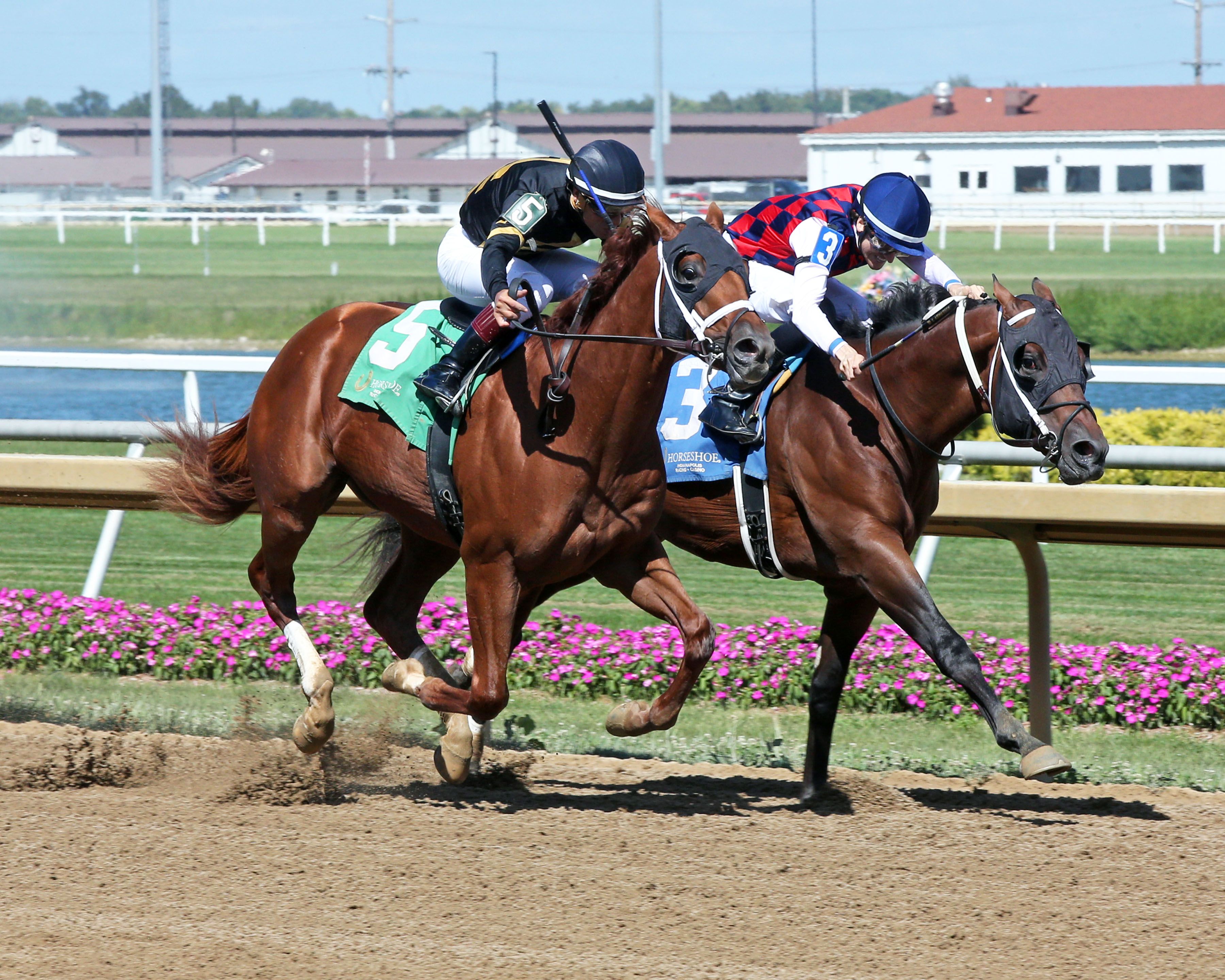 Meet The Contenders: 2023 Champagne Stakes | TwinSpires