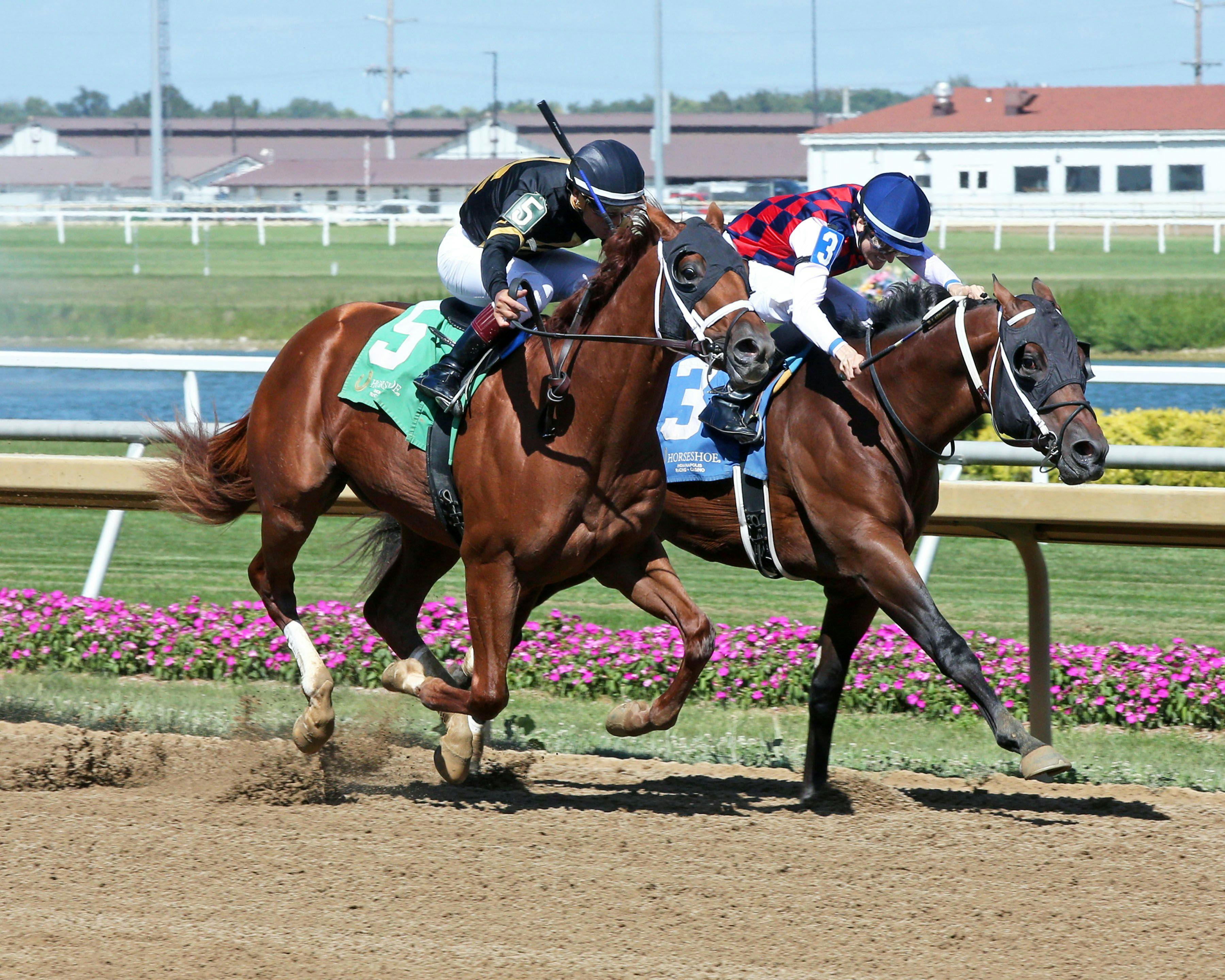 Meet the Contenders 2023 Champagne Stakes TwinSpires