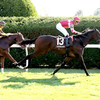 Aplyland wins a Keeneland.