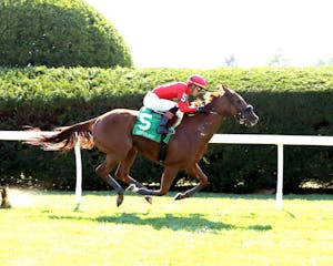 Ayra Stark wins at Keeneland.
