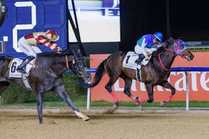 Admire Daytona winning the UAE Derby (G2) at Meydan in Dubai