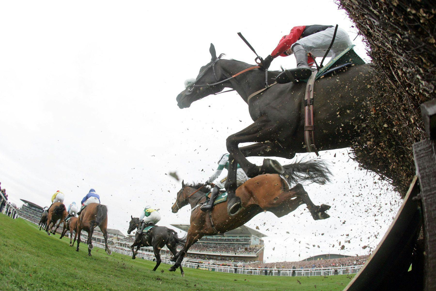 BritainIreland Preview Spot Plays for Graded Jumps Races TwinSpires