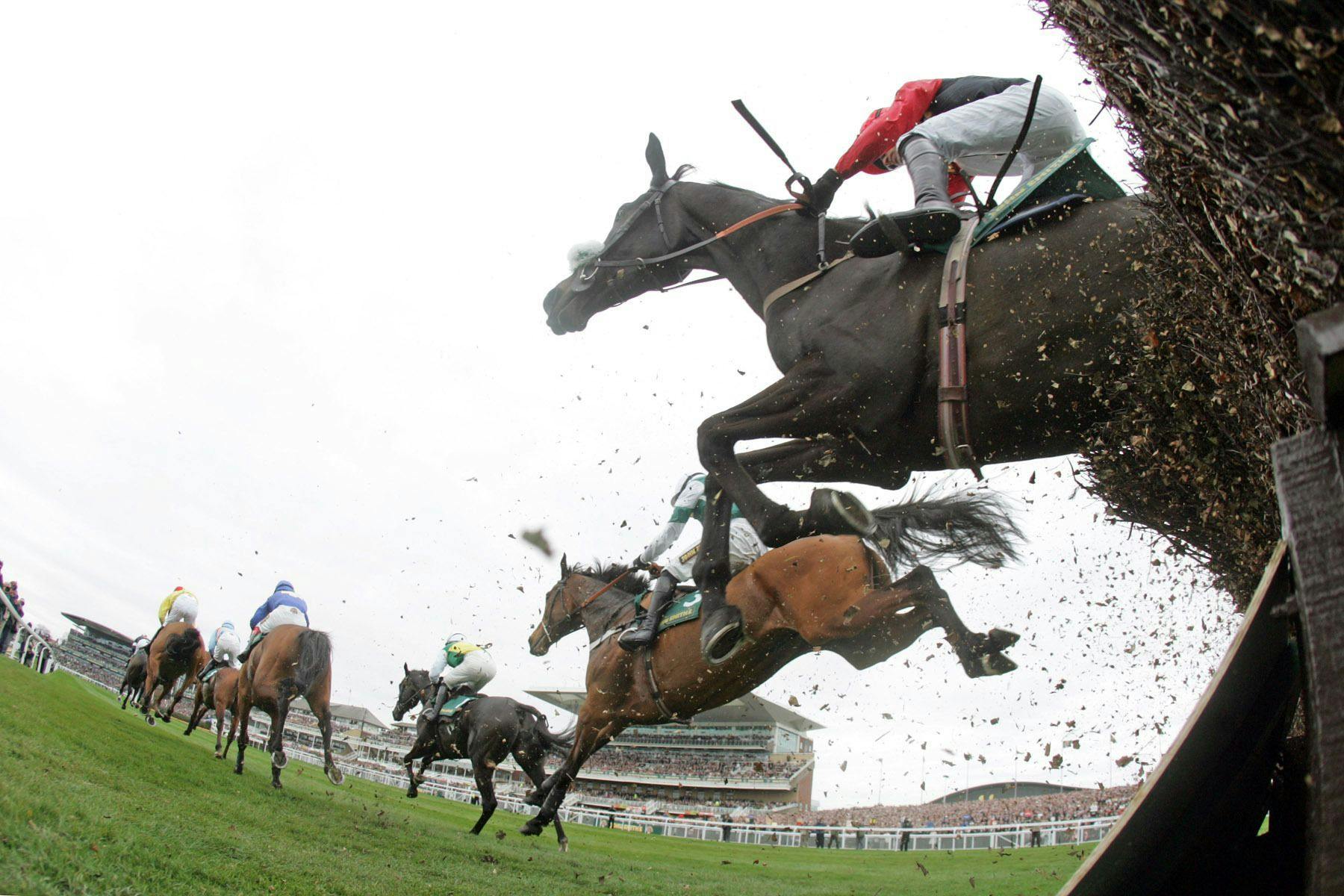 Racing at Aintree Racecourse. (Photo by Horsephotos/Frank Sorge)