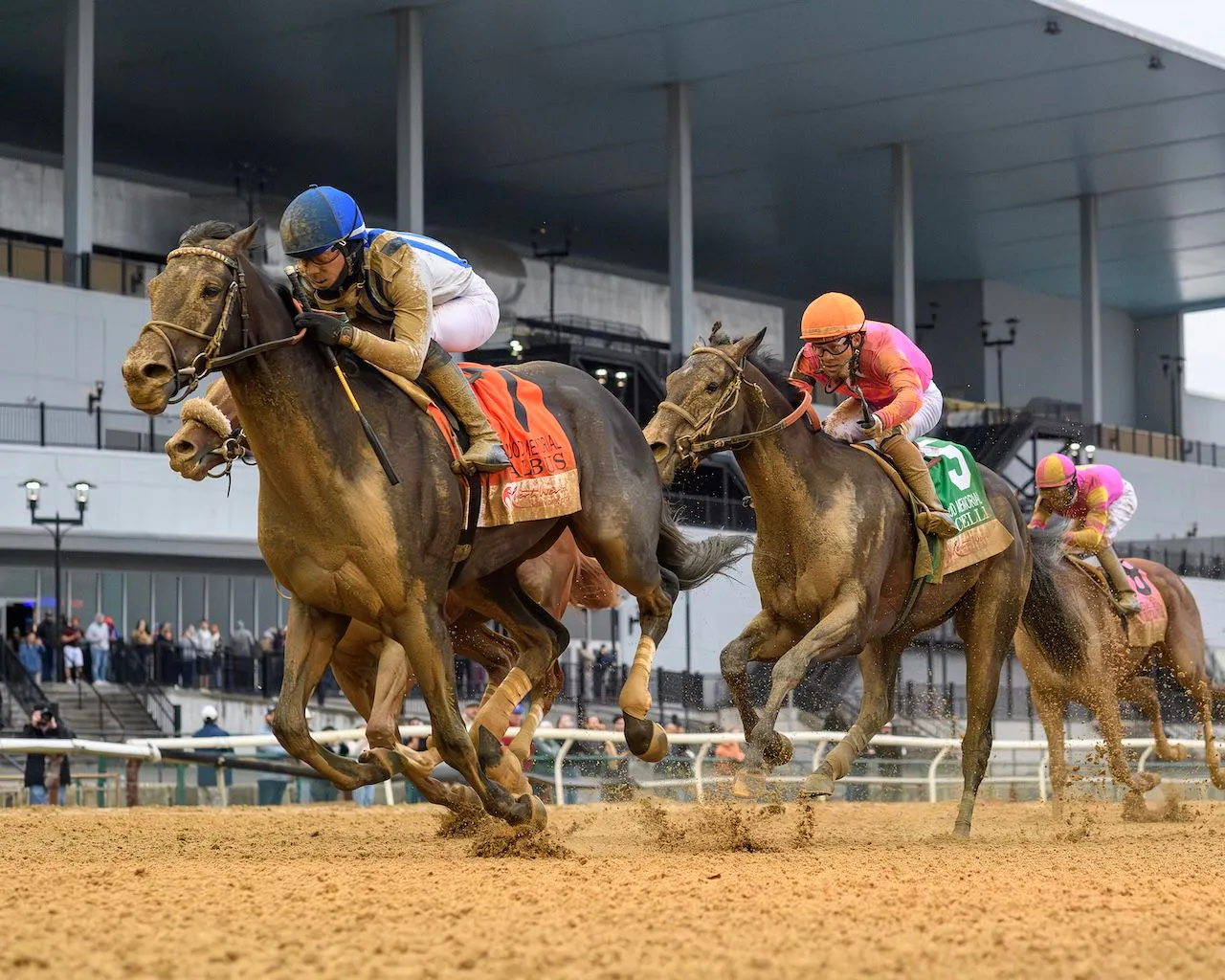 Albus wins the Wood Memorial at Aqueduct.