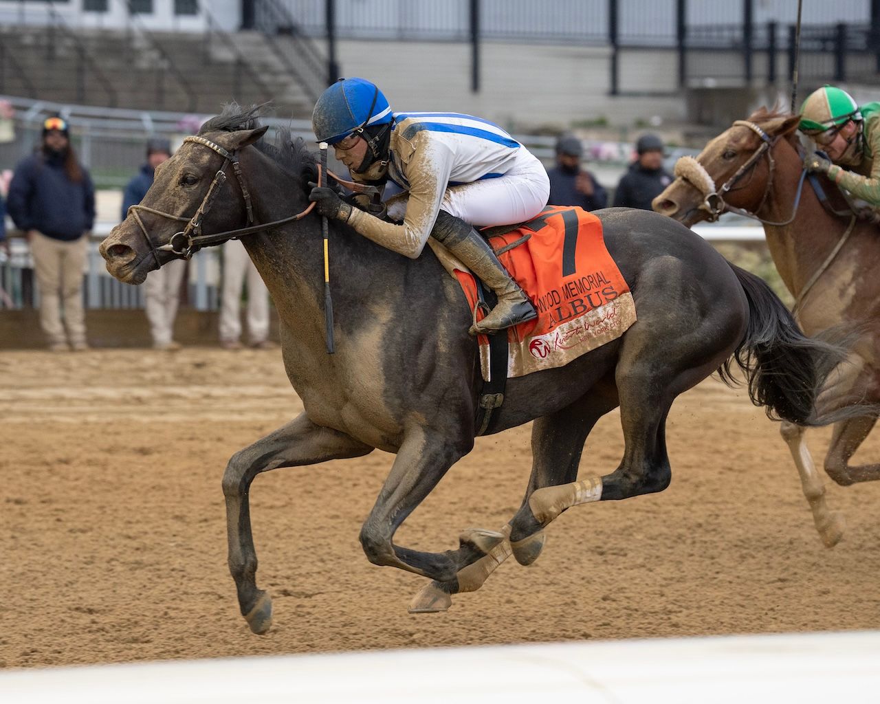 Albus wins the Wood Memorial at Aqueduct.