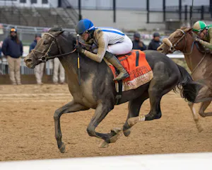Albus wins the Wood Memorial at Aqueduct.