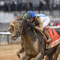 Albus wins the Wood Memorial at Aqueduct.