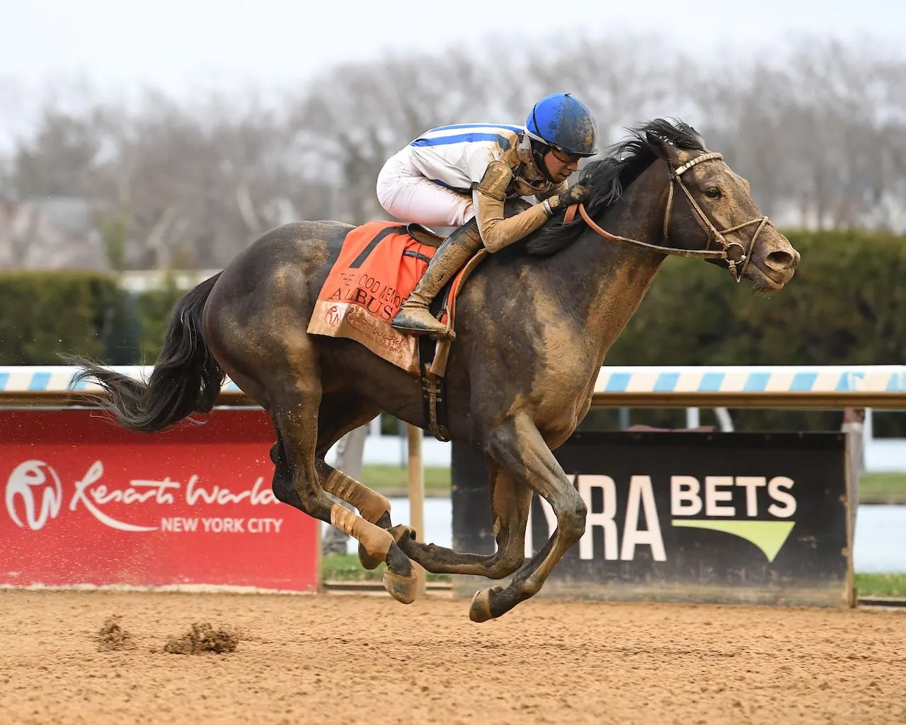 Albus wins the Wood Memorial at Aqueduct.