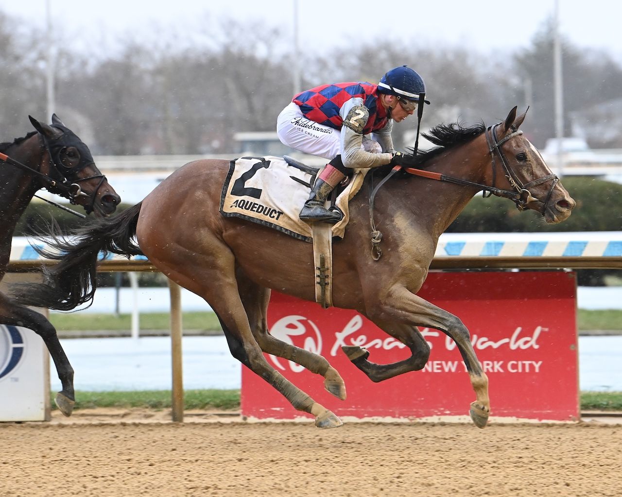 Always a Runner wins the Gazelle at Aqueduct.