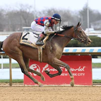 Always a Runner wins the Gazelle at Aqueduct.