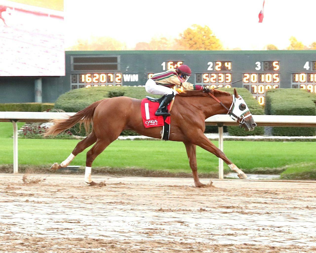 American Promise wins at Oaklawn Park. 