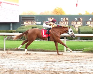 American Promise breaks his maiden at Oaklawn Park