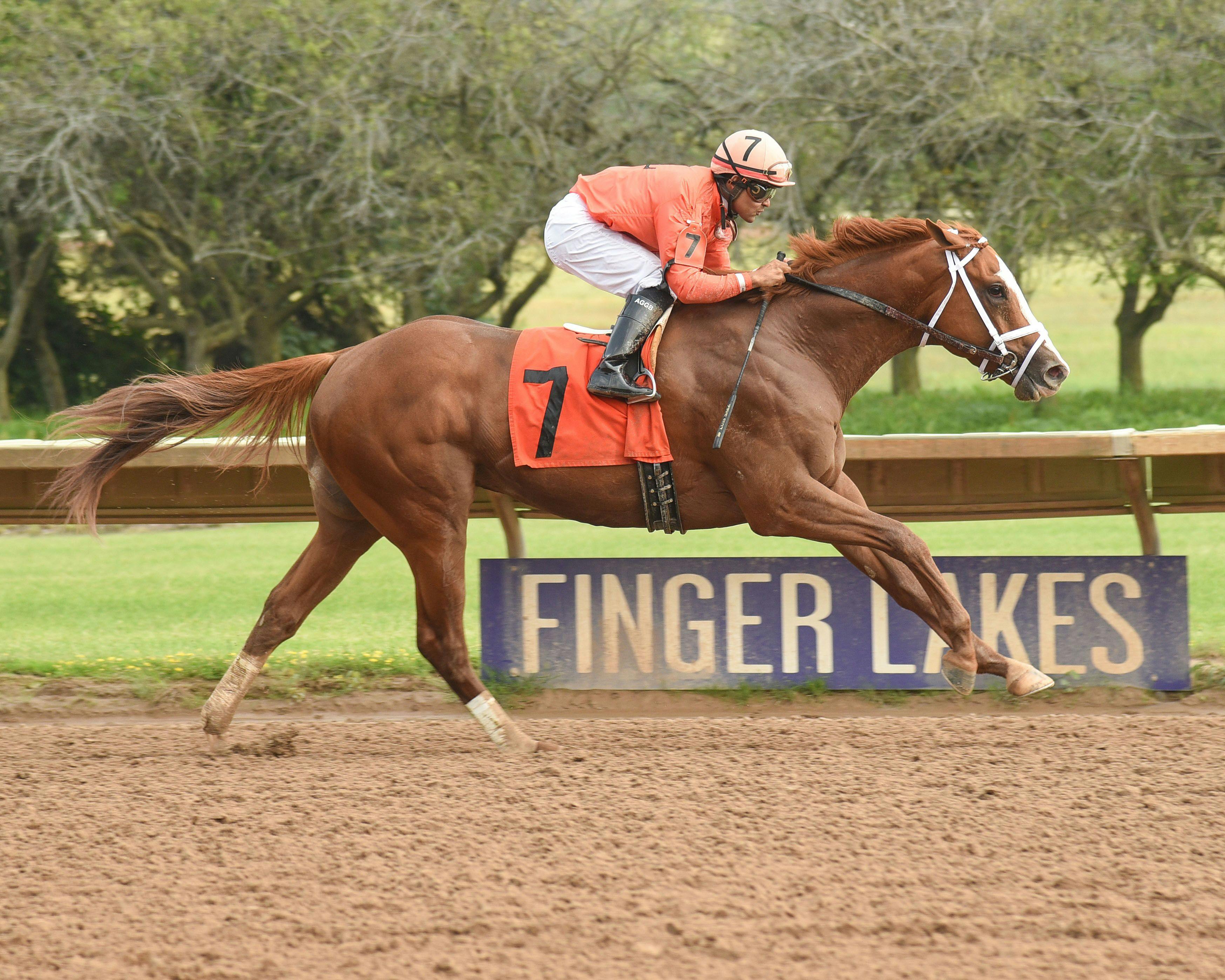 Sunday's Super Bowl  The TwinSpires Edge