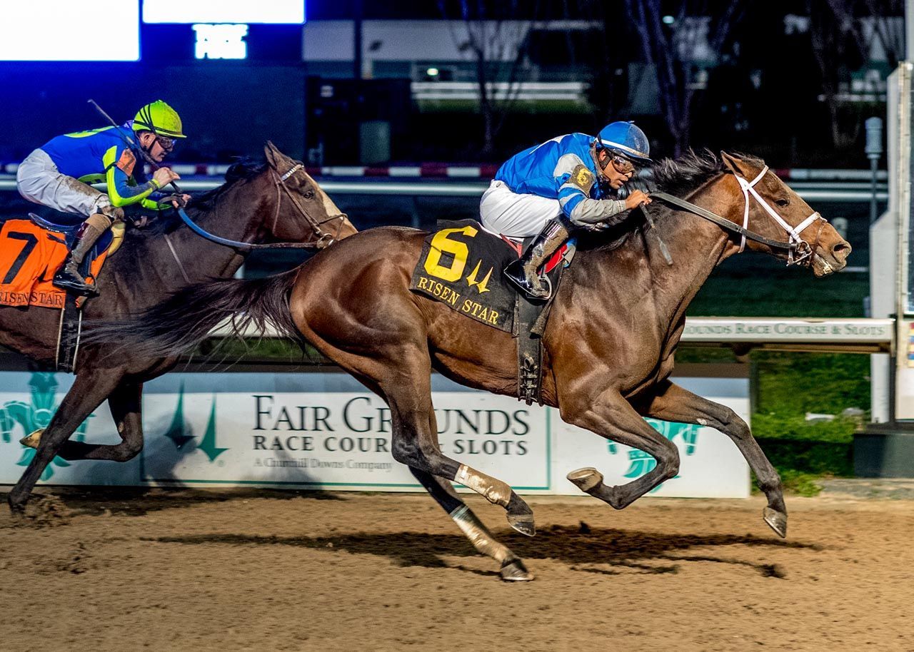 Kentucky Derby Pedigree Profile: Angel Of Empire | TwinSpires